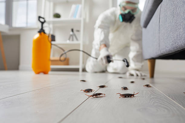 Commercial Kitchen Cockroach Control in Carson City